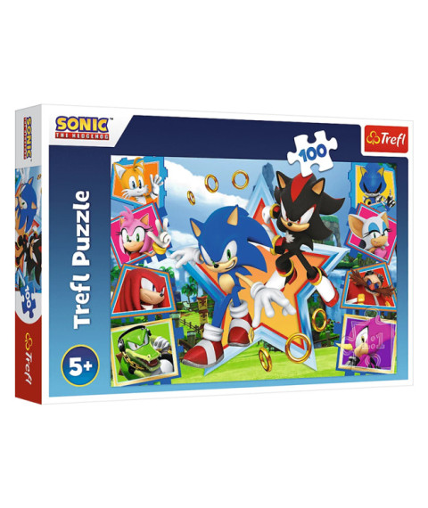 TF Puzzle "100" - "Meet Sonic / SEGA Sonic The Headgehog